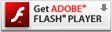 Adobe Reader