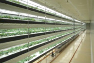 Fully-controlled plant factory
