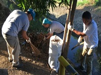 Cleanup activities