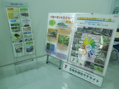 Biodiversity Satellite at Toke Development Center