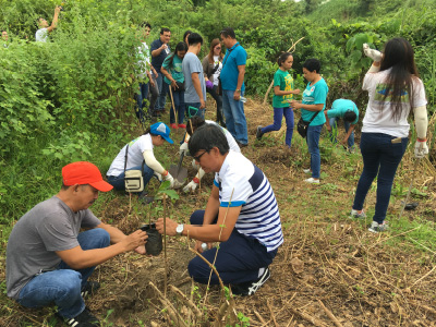 At the planting activity