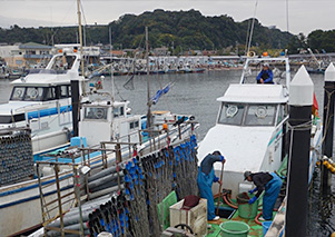 データ収集装置装着のマアナゴ漁船