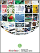 CSR Report 2013