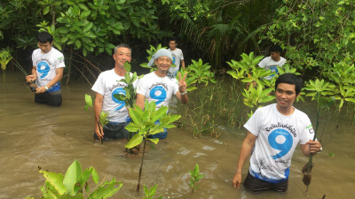 Mangrove reforestation activities