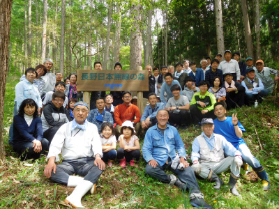 Afforestation and preservation activities