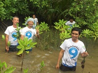 Mangrove reforestation activities