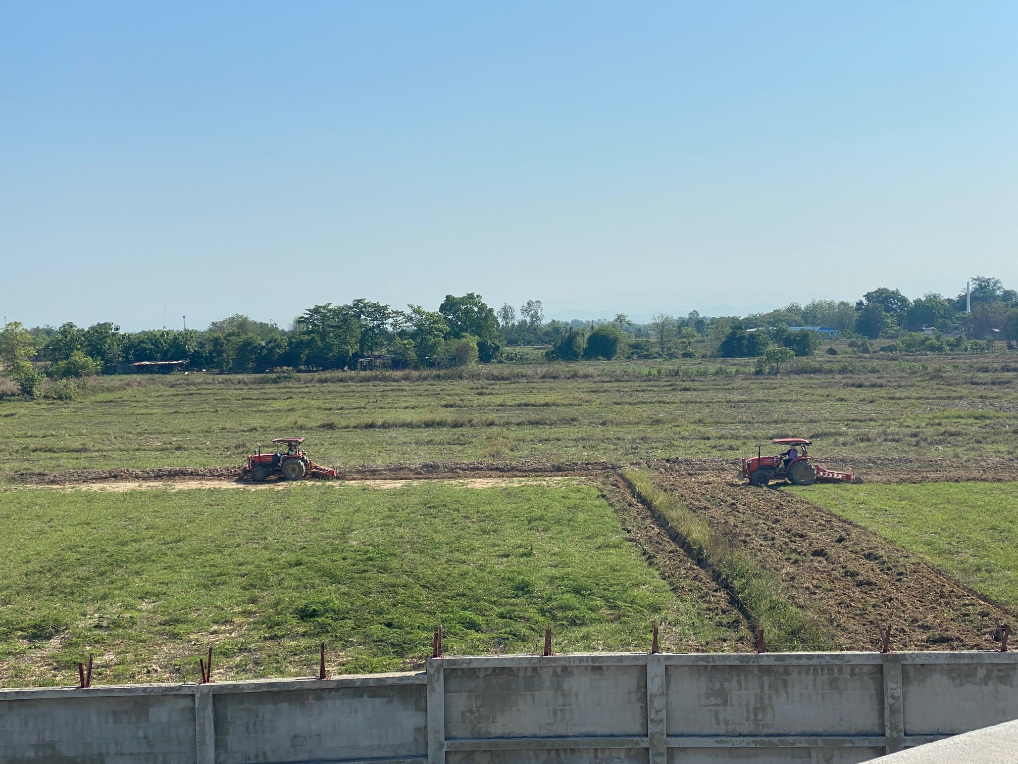 ZPlowing the field