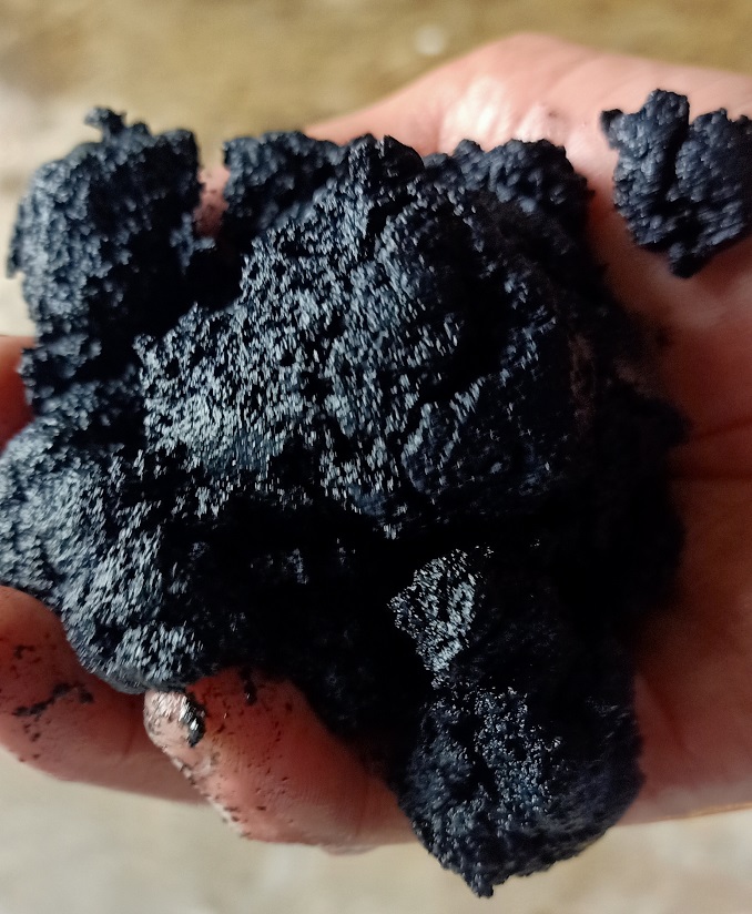 Sludge before drying