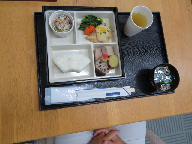 Japanese meals provided on the day of training
