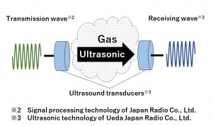 1: Principle of detection