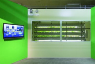 visualization of electric power generation and consumption