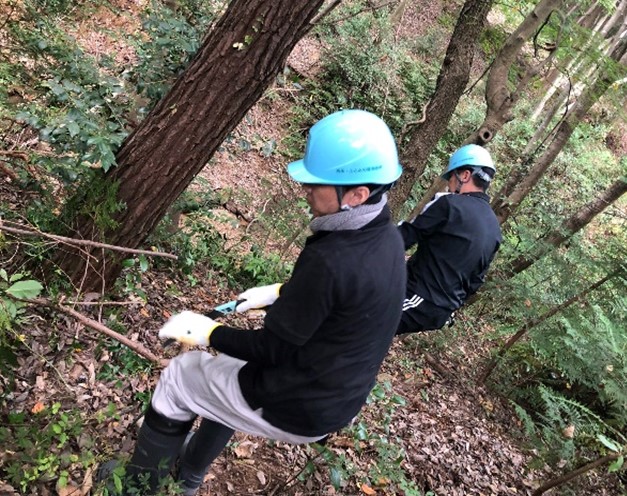 Scene of the forest conservation activities