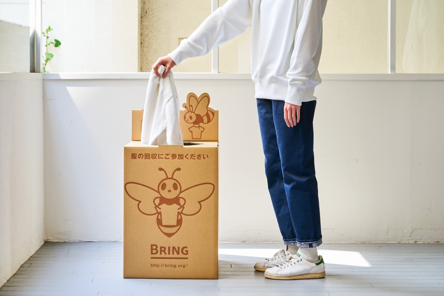Collection Box