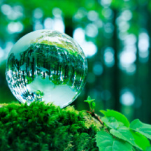Contribution to the Environment and Energy Sector