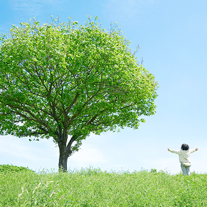Sustainability