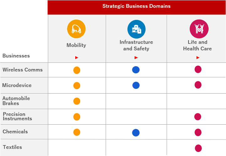 Strategic Business Domains