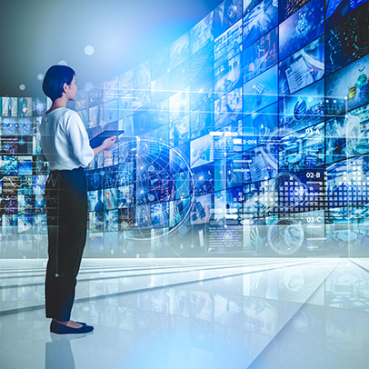 Strategic Business Domains