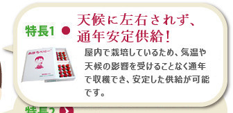 特長1 洗わず食べられてとっても安心！　衛生管理が徹底された環境で栽培しています。そのため、洗わなくても安心して召し上がれます。