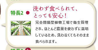 特長2 最先端のシステムで、徹底した品質管理！　最先端の生産管理システムを導入し、室温や空調、照明等をしっかり管理しています。そのため、味や色に個体差がほとんどありません。