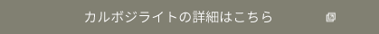 カルボジライトの詳細はこちら