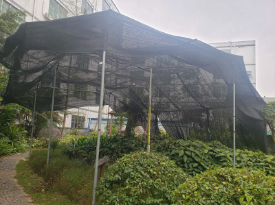 植樹・保全活動