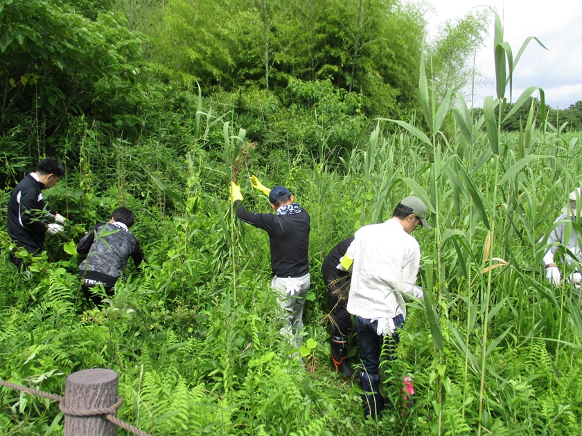 茂林寺沼湿原の清掃活動