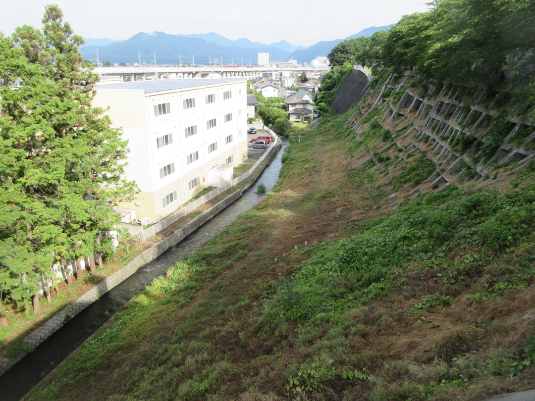 除草活動を行った崖下緑地