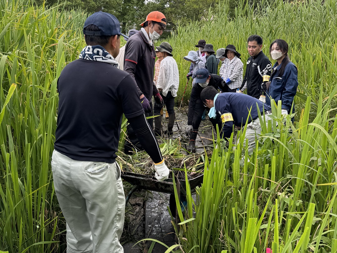 生物多様性保全活動の様子