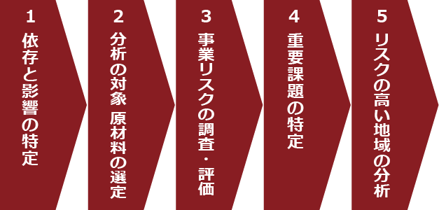 自然関連の依存・影響、重要課題、地域性分析のステップ