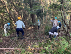 山林の環境保全作業