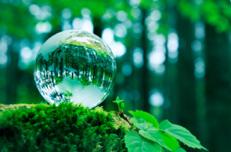 The Enviroment